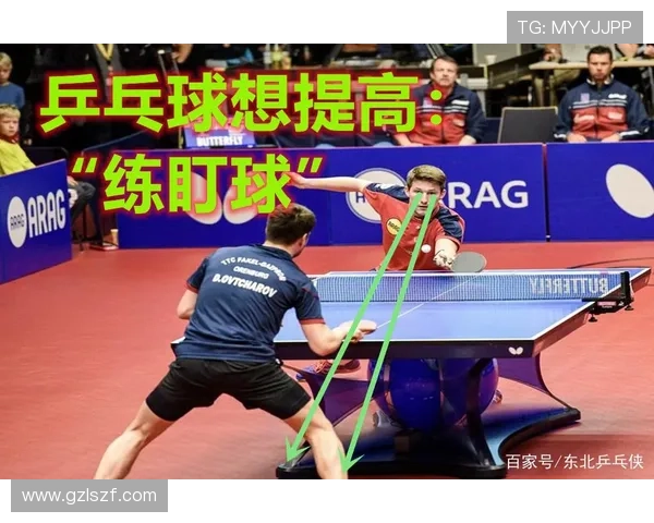 南京乒乓球队比赛经验引发热议球迷对战术与表现的不同看法
